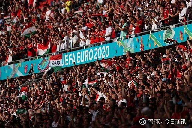 内关注的焦 内关注的焦